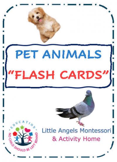 Pet animals Flash Cards